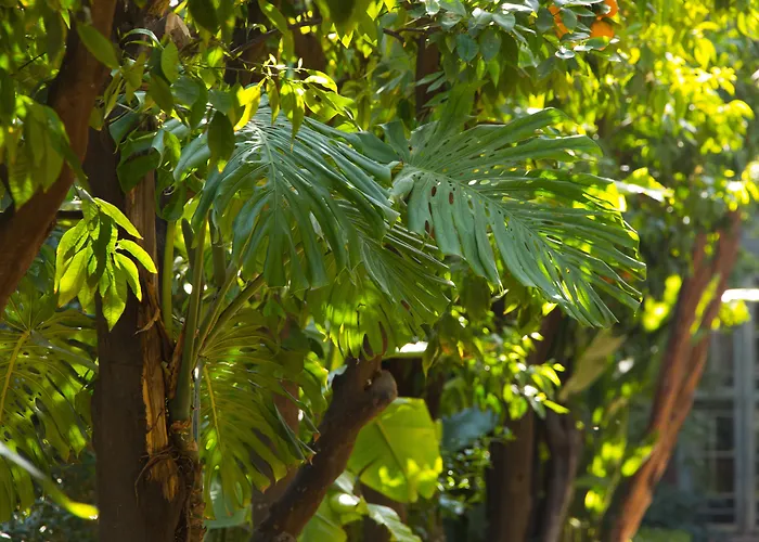 Hotel Les Jardins De La Médina à Marrakesh